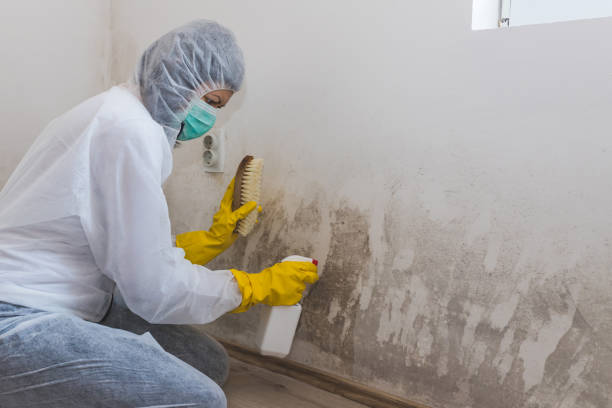 Best Commercial Mold Inspection  in Stanfield, OR