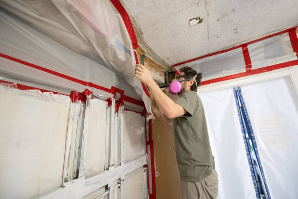 Best Dehumidification Services  in Stanfield, OR