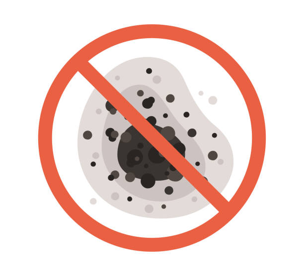 Best Environmental Consulting for Mold Prevention  in Stanfield, OR