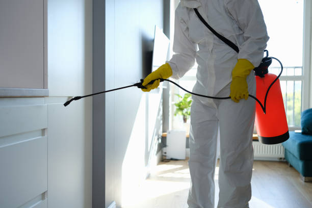 Best Basement Mold Removal  in Stanfield, OR