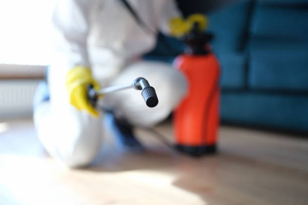 Best Real Estate Mold Inspection  in Stanfield, OR