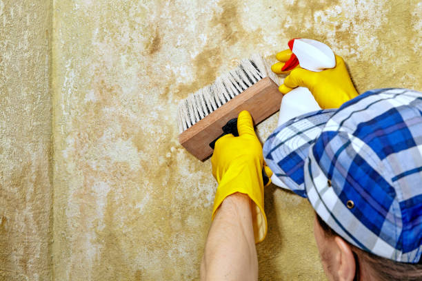 Stanfield, OR Mold Removal Company