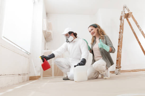 Best Post-Remediation Verification Testing  in Stanfield, OR