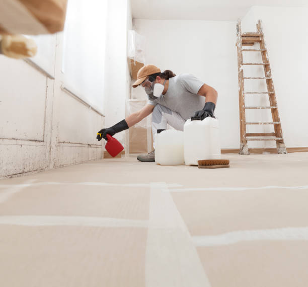 Best Crawl Space Mold Remediation  in Stanfield, OR