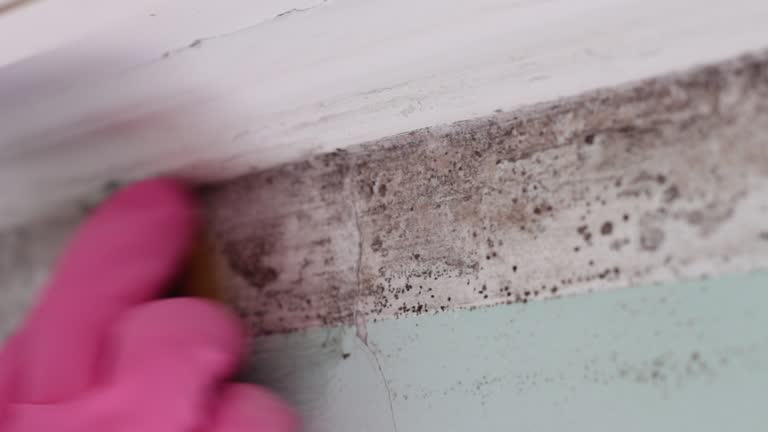 Best Indoor Air Quality Assessment  in Stanfield, OR
